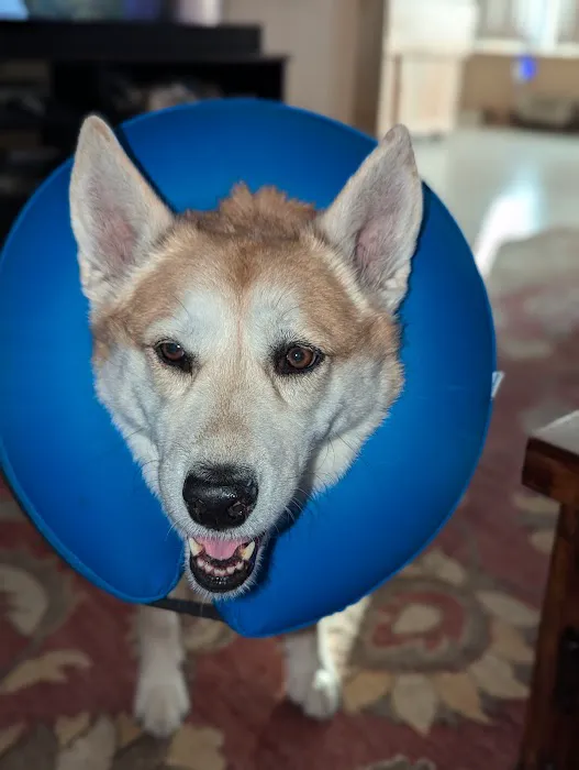 West Olive Animal Hospital Llc Picture 3