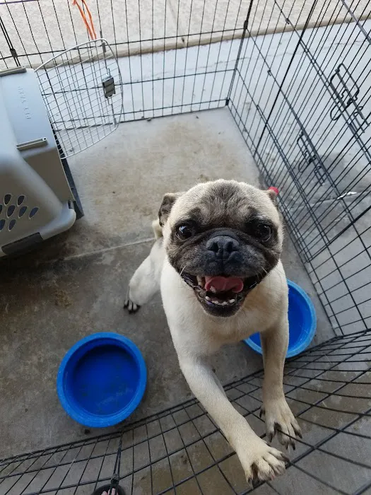 West Olive Animal Hospital Llc Picture 7