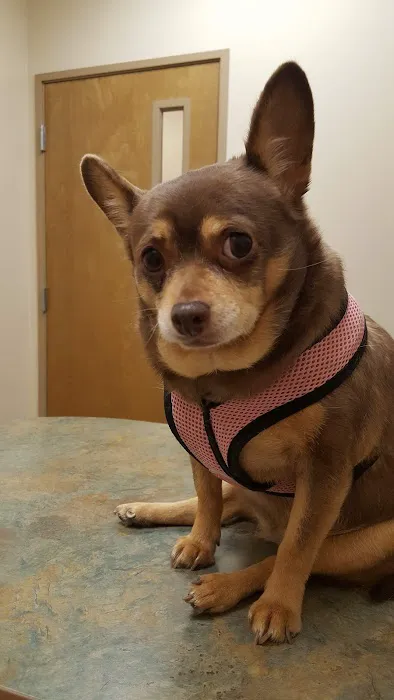 West Olive Animal Hospital Llc Picture 8