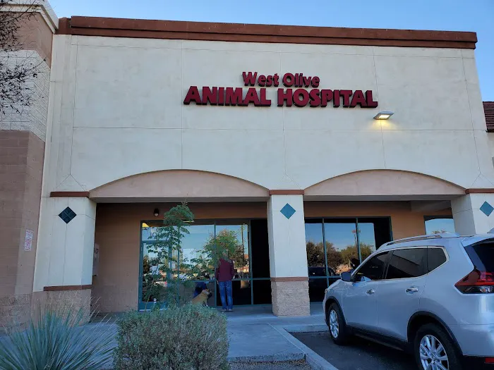 West Olive Animal Hospital Llc Picture 5