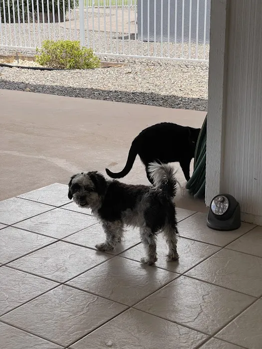 West Olive Animal Hospital Llc Picture 9
