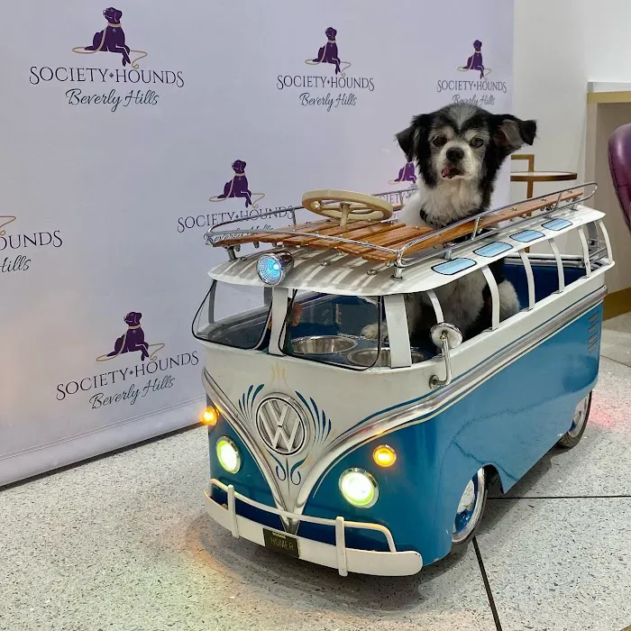Society Hounds Picture 6
