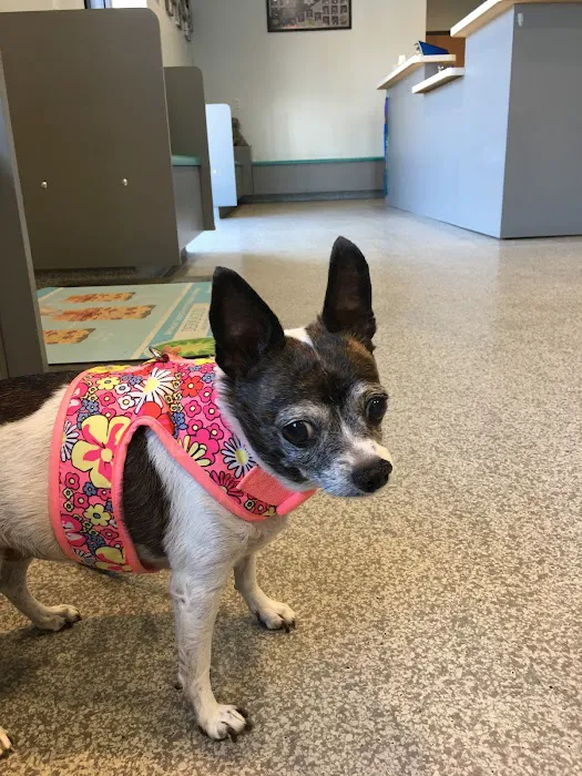 Sunburst Animal Hospital Picture 7