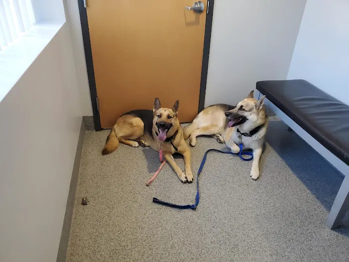 Sunburst Animal Hospital Picture 10