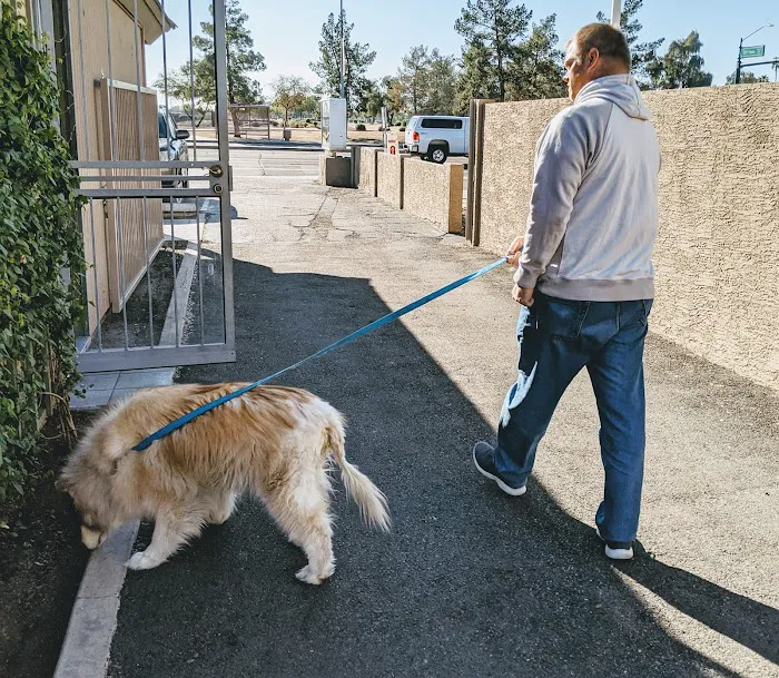 Sunburst Animal Hospital Picture 9
