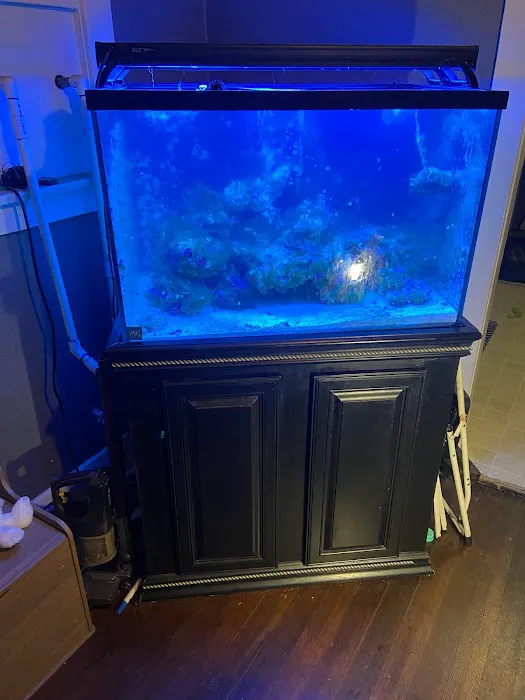 Salty Life Aquarium Service Picture 2