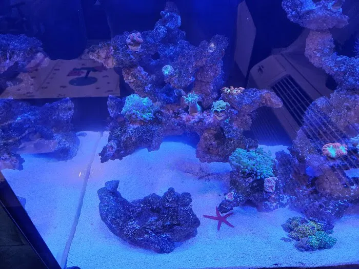 Salty Life Aquarium Service Picture 3