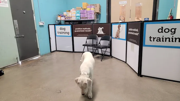 Petco Picture 3