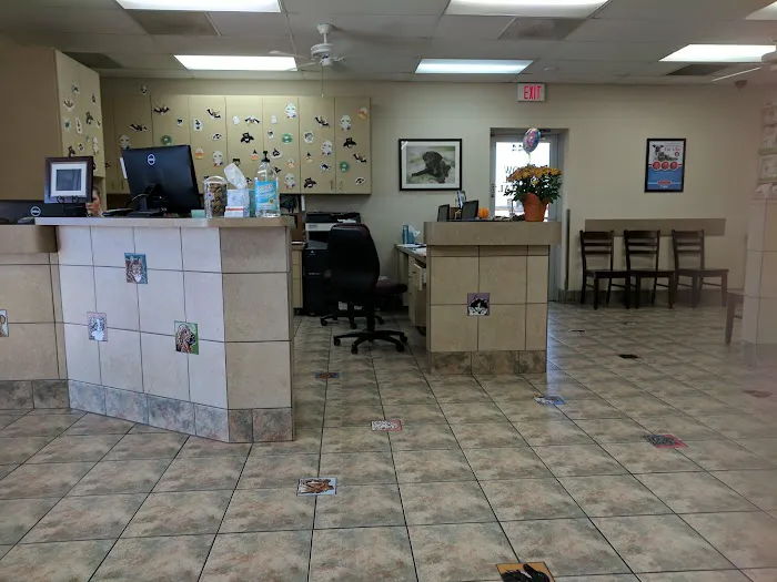 Lovet Pet Health Care - Arrow Picture 9