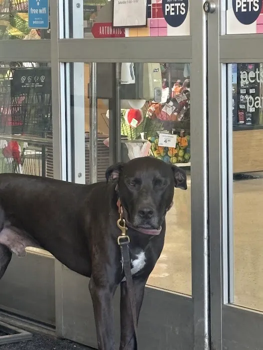 Petco Picture 1