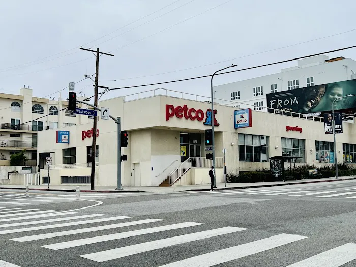 Petco Picture 7