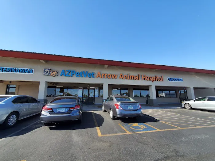 Arrow Animal Hospital PLC: Payton Willow DVM Picture 1