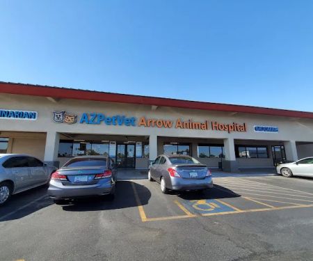 Arrow Animal Hospital PLC: Payton Willow DVM