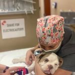 CARE Animal Surgery Center