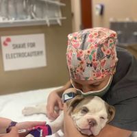 CARE Animal Surgery Center ico