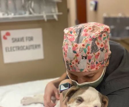 CARE Animal Surgery Center