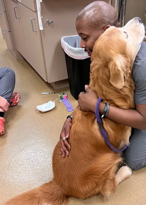 CARE Animal Surgery Center Picture 2