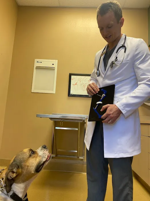 CARE Animal Surgery Center Picture 4