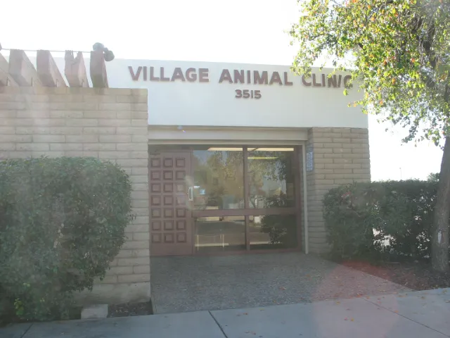 Village Animal Clinic Picture 5