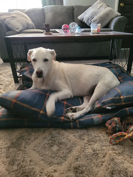 Moon Valley Animal Hospital Picture 1