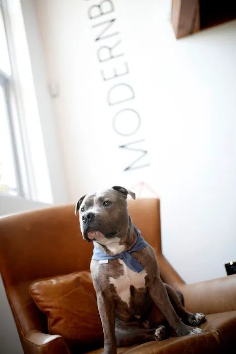 Modernbeast Picture 5