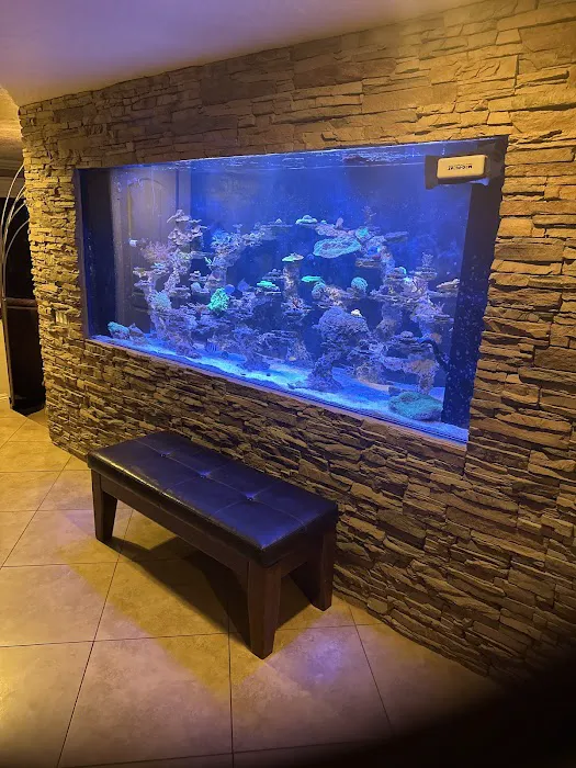 Coral Nerd | Saltwater Fish & Coral Store Picture 5