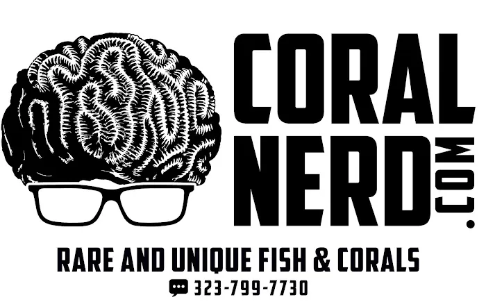 Coral Nerd | Saltwater Fish & Coral Store Picture 7