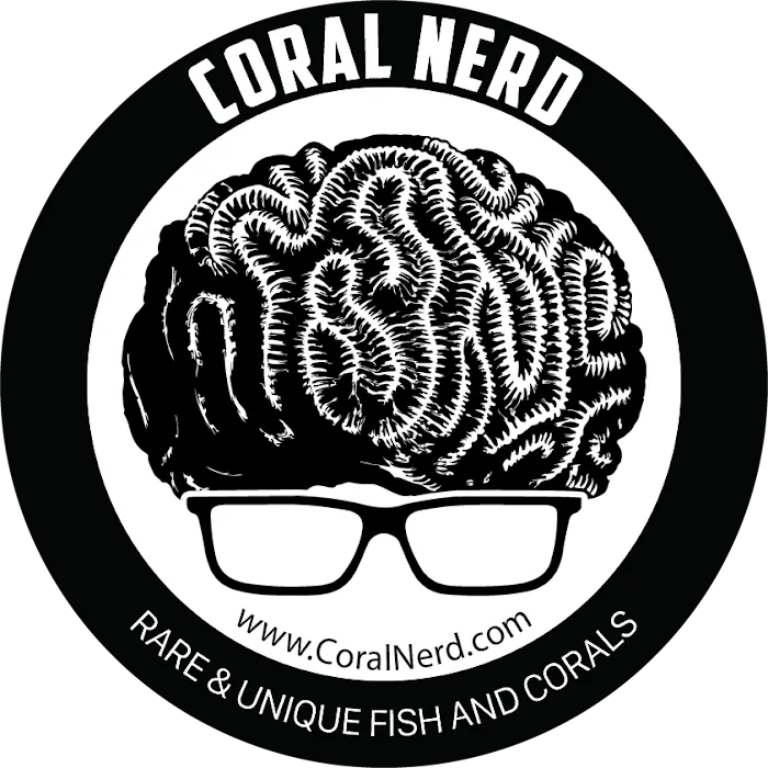 Coral Nerd | Saltwater Fish & Coral Store Picture 8