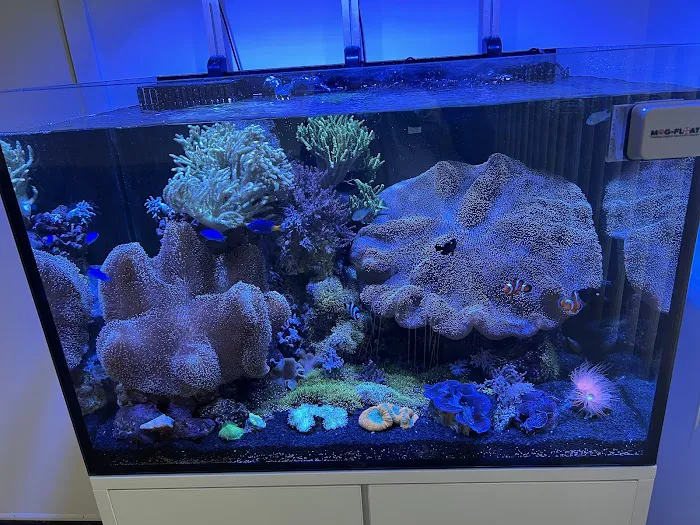 Harry's Marine Life Picture 2