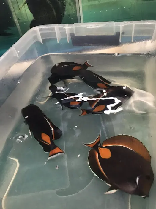 Harry's Marine Life Picture 6