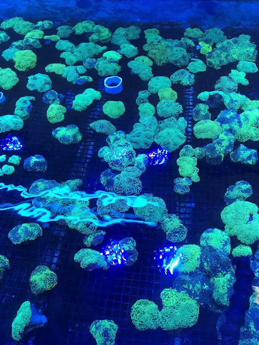 Harry's Marine Life Picture 9