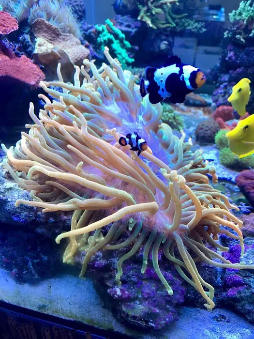 Harry's Marine Life Picture 10