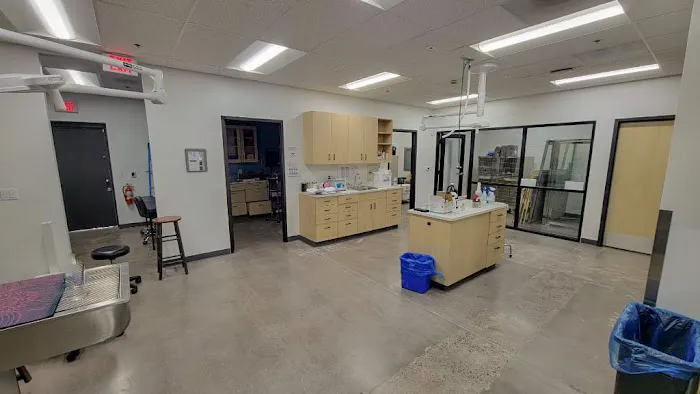 Dermatology for Animals Goodyear Picture 7
