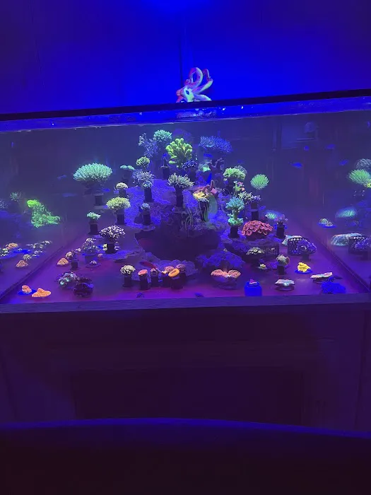 OMG Jesus Coral Picture 4