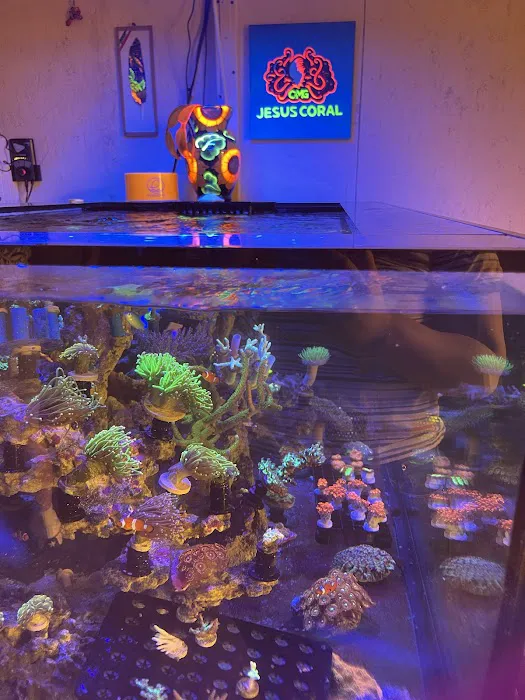OMG Jesus Coral Picture 10
