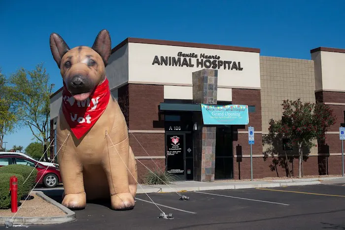 Gentle Hearts Animal Hospital Picture 1