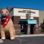 Gentle Hearts Animal Hospital