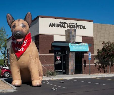 Gentle Hearts Animal Hospital