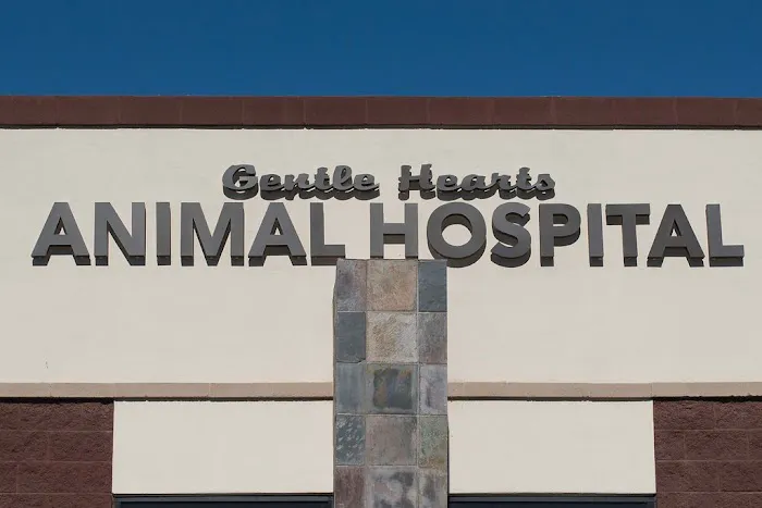 Gentle Hearts Animal Hospital Picture 2