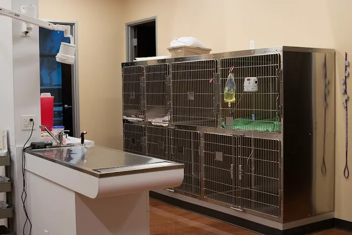 Gentle Hearts Animal Hospital Picture 3