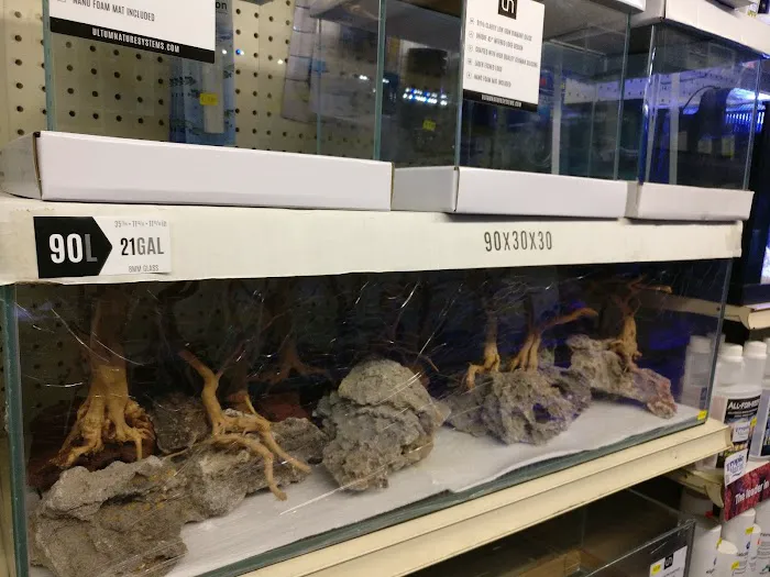 Lotus Aquarium Picture 5