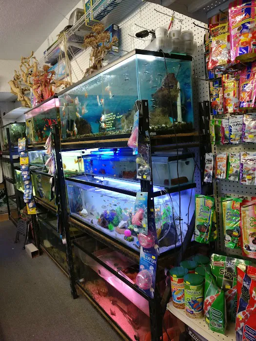 Lotus Aquarium Picture 6