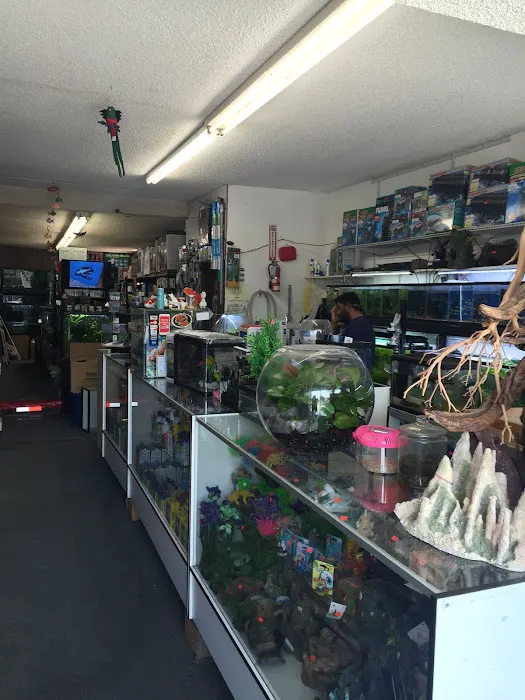 Lotus Aquarium Picture 8