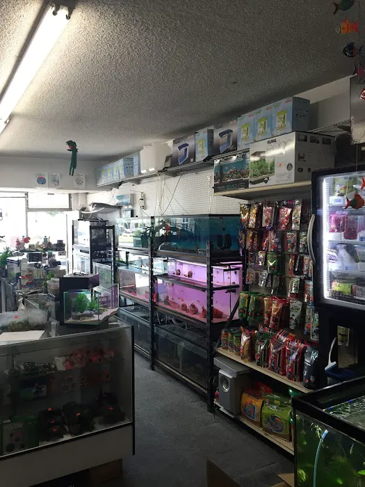 Lotus Aquarium Picture 10