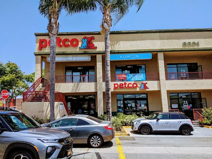 Petco Picture 2