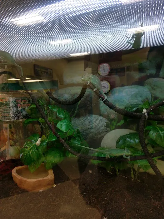 Petco Picture 9