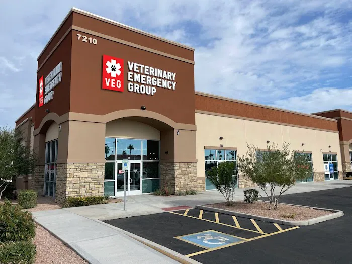 Veterinary Emergency Group Picture 5