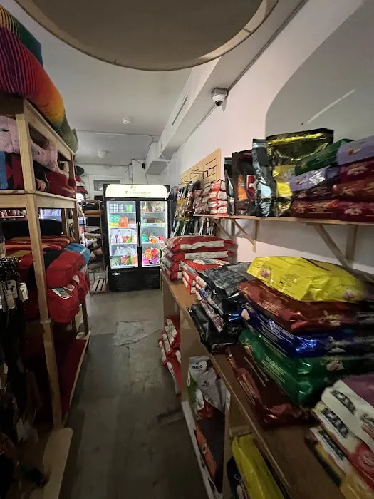 Bruno's Dog & Cat Boutique Picture 6