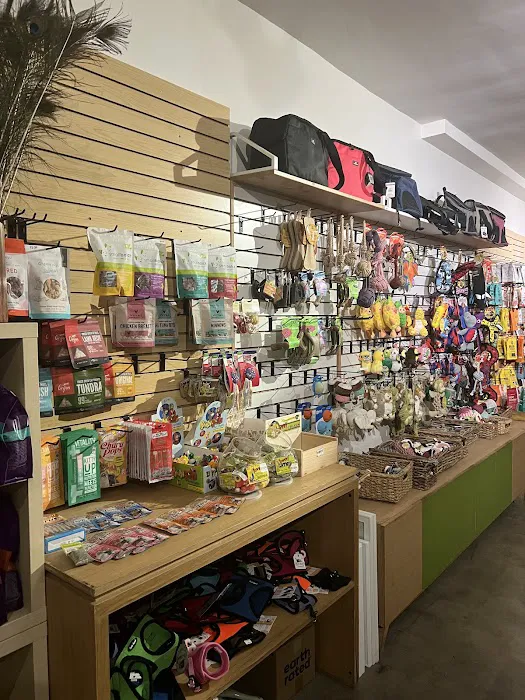 Bruno's Dog & Cat Boutique Picture 5