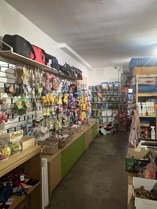 Bruno's Dog & Cat Boutique Picture 9
